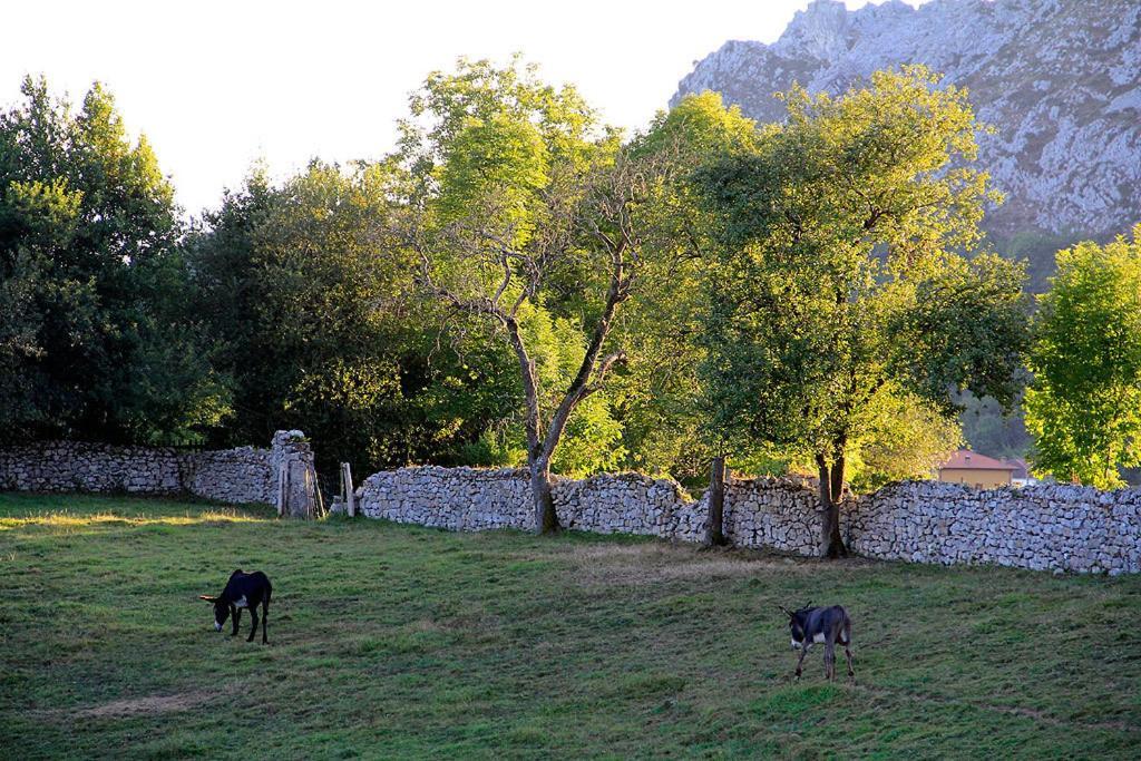 Apartamentos Rurales "Les Escueles De Collia" Eksteriør bilde