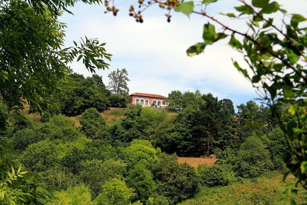 Apartamentos Rurales "Les Escueles De Collia" Eksteriør bilde